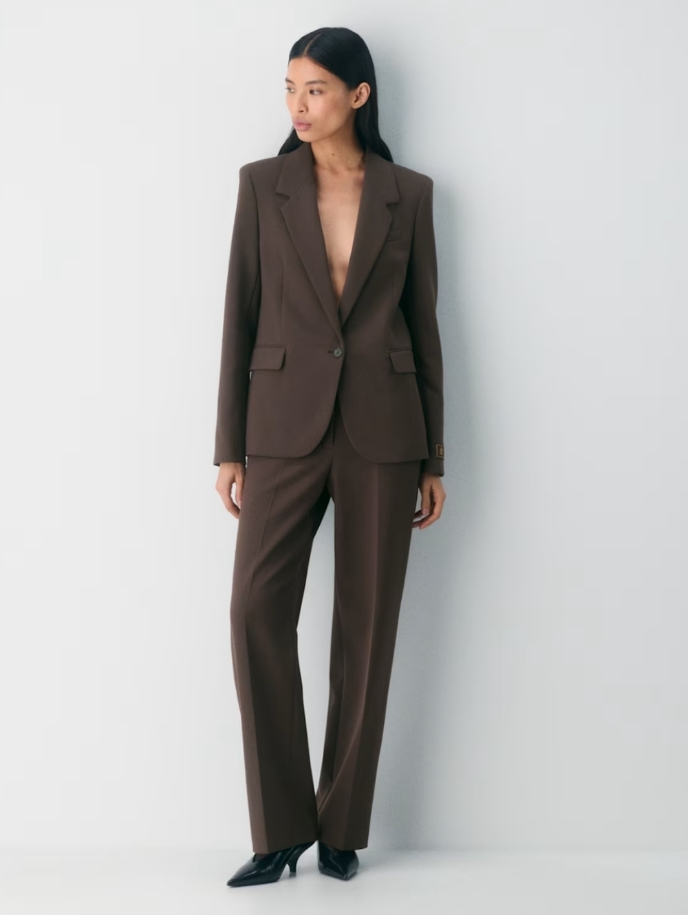 Aritzia Babaton Producer Blazer